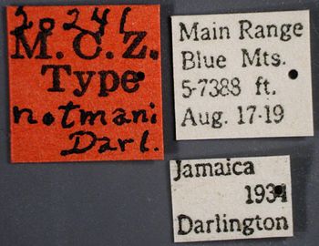 Media type: image;   Entomology 20241 Aspect: labels